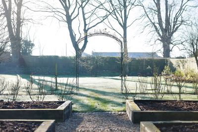 How to Prepare Raised Beds for Cold-Weather Growing