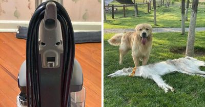 79 Pictures That Might Make You Look Once, Twice, Then A Third Time Just To Be Sure