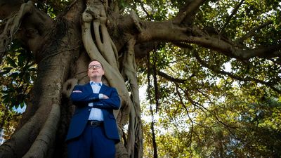 Solid and safe: why the Greens chose Shoebridge