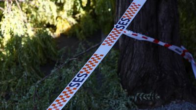 State shudders to early morning earthquake
