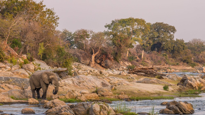 African Parks spent 20 years in Malawi; its model now covers 1.37M hectares