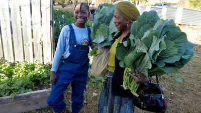 At 10, America’s youngest certified farmer received 40 acres after years of farming