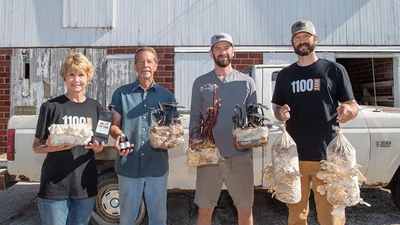 Two Iowa farmers quit pigs; their old hog barns became a mushroom business