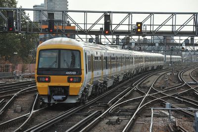 'Bedbug Express': London rail firm cancels services and seals off carriages as insects found onboard trains