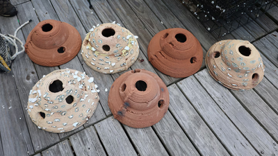 US engineers 3D-print oyster reefs from dredged sediment in Mobile Bay