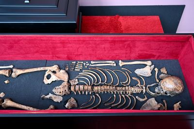 Remains of medieval ruler Czar Samuel will arrive in Bulgaria after decades of talks with Greece