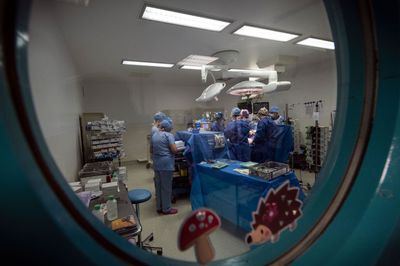 First Heart Valve That Expands as Children Grow Wins FDA Approval, Aiming to Cut Repeat Open-Heart Surgeries