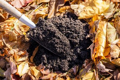 Why Fall Composting Gives Spring Gardens a Head Start
