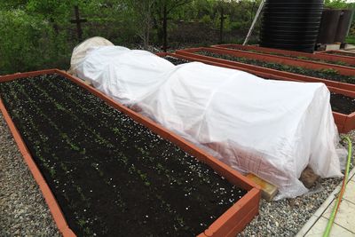 How to Protect Tender Herbs From Sudden Frost