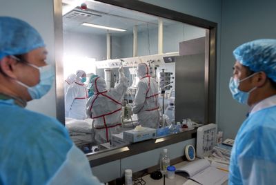Fewer Than 1 in 10 Initial Screenings Asked About Sick Animals When Actors Posed as Bird Flu Patients