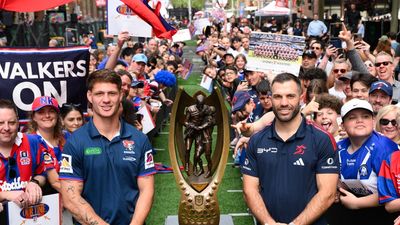 Grit v glitz: Knights take on Roosters for NRL glory