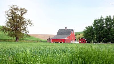 Iowa family’s 84-year farming legacy ends as 1,209 acres go up for auction