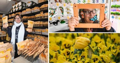 Floriade vendors face pinch from fee changes and wet weather