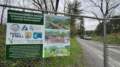 Beavers built a 6-to-8-foot dam at a closed Massachusetts golf course before crews arrived