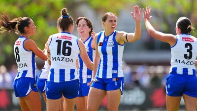 Swans, Roos stars injured as Dees claim crucial win