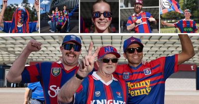 Planes, trains and ... a limo: Knights fans go all out for grand final