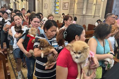 Wagging tails fill Malate Church as priests bless pets for St. Francis feast