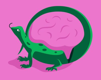 Do humans really have a ‘lizard brain’ lurking beneath our rational minds?