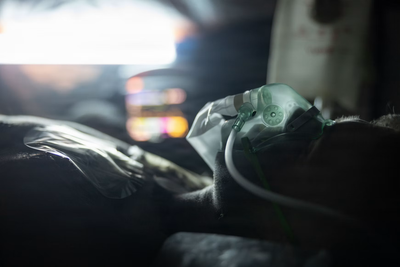 'Black Death Cover-up?' Scientist Dies in Siberia as Russia's Secrecy Fuels Claims of a Mystery Plague Case