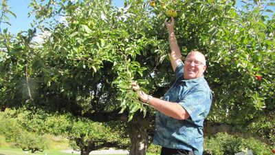 Retired FBI agent’s decade-long mission to rediscover 30 ‘lost’ apple varieties
