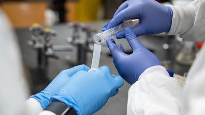 Has plague returned to Siberia? Panic in Russia after death of lab worker
