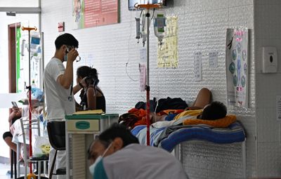 Florida Dengue Outbreak Hits 252 Local Cases, Most for Any State in Decades, as Polk Becomes Seventh County