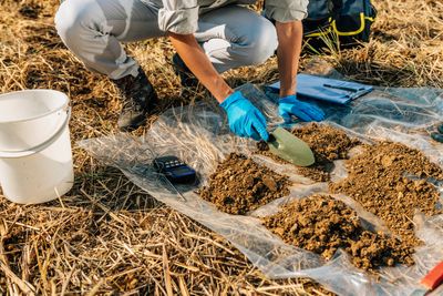 Fall Soil Testing Steps That Make Spring Planting Easier