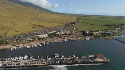 Don Williams paid $1.35 million for Maui land in 1994; court vacates $7 million eminent-domain judgment