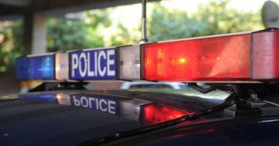 Double fatality: Two men killed during Sunday night walk