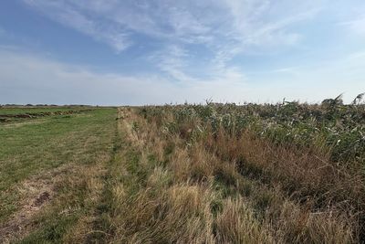 ‘Amazing’ habitat for wildlife: work starts on vast wetland restoration scheme
