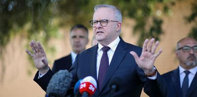 Albanese’s ratings slump in Redbridge poll after interest rate hike