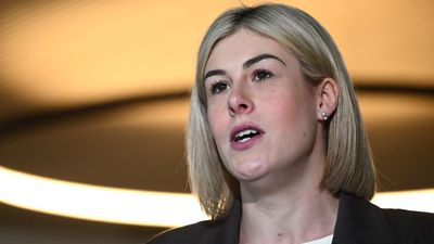 Hospital overcrowding fix pitched under $100m pledge