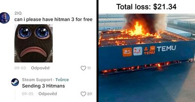 74 Memes And Interesting Posts To Get You Through The Day
