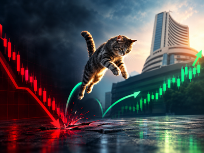 Nifty rebounds after record 8-week rout, but is this a dead cat bounce investors should fear?