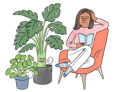 Is it true that … houseplants freshen the air in our homes and offices?