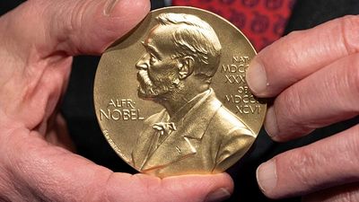 German and US scientists win 2026 Nobel Prize in medicine for method to 'reveal the brain's mysteries'