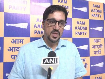 2027 polls: AAP alleges bid to break 'Goa First' alliance, asks ally GFP to clarify stand
