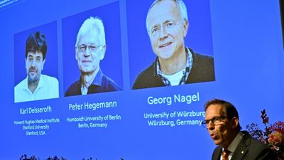 🔴 Nobel Prize in Medicine jointly awarded to ​Karl Deisseroth, Peter Hegemann ​and Georg Nagel