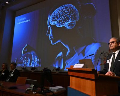 Nobel prize in medicine 2026 awarded for research into mysteries of brain
