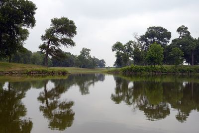 Institute launches in East Texas to address the region and state’s largest water challenges