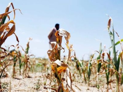 Maharashtra imposes minimum 10% water cut in urban, rural local bodies from Oct 16 amid deficient monsoon