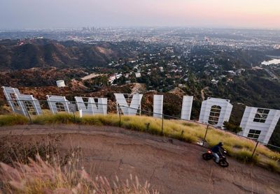 Snakes, bobcats, mountain lions: the secret animal world beneath the Hollywood sign