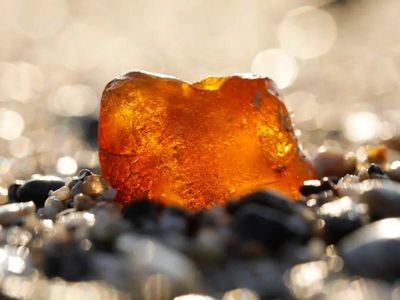 Thieves ransacked Romanian woman’s home, stole jewellery but missed a 70-million-year-old amber ‘rock’ kept as a doorstop for decades, worth $1 million
