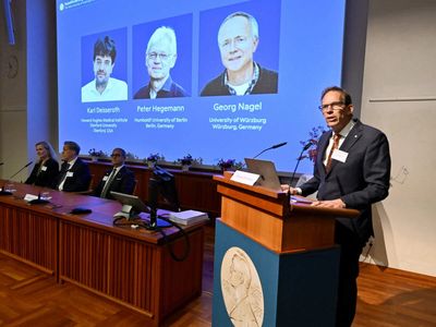 The Nobel-winning breakthrough that turned light into a remote control for the brain, allowing scientists to switch neurons on and off