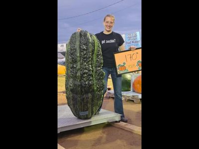 Maine woman grows record-breaking 170-pound zucchini, breaks North American and US records after 162-pound giant was disqualified over tiny split