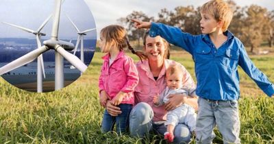 'We are beyond elated': community celebrates the demise of wind farm