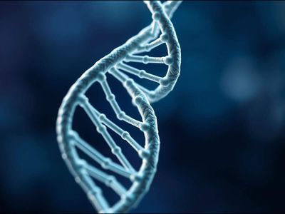 This brain gene can move through human DNA — and scientists found it inside a virus