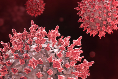 Covid's Hidden Sepsis Toll Emerges as Studies Find It in up to 93% of Deaths but Just 9% Were Coded