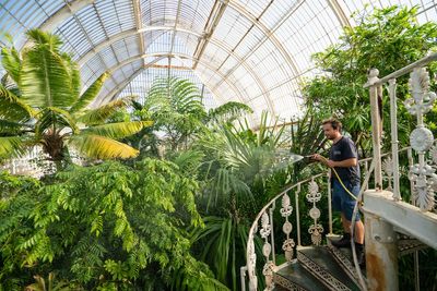 Kew Gardens turns to public to save historic Palm House