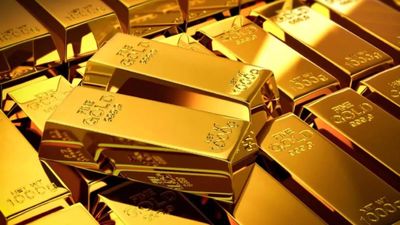 Gold steady as firm dollar counters softer US rate-hike bets